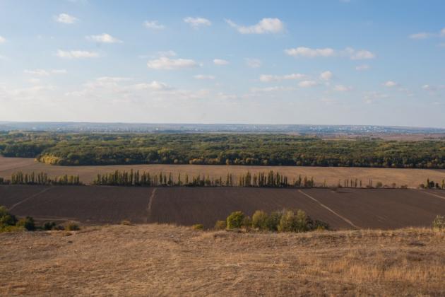 фото: Moldnova
