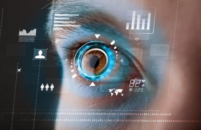 фото: 316news