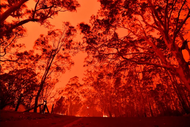 фото: AFP