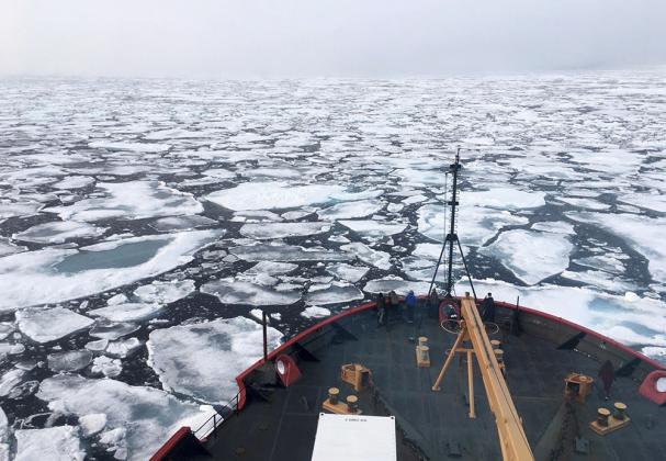 Фотография: Devin Powell / NOAA / AP