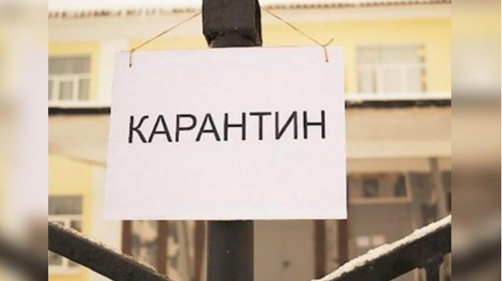 kabar