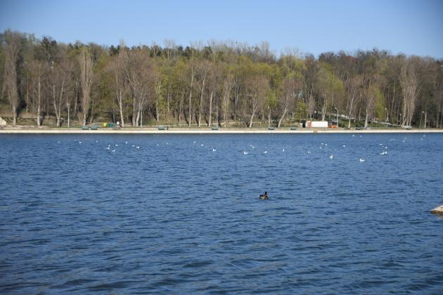 lacul-valea-morilor-1-5