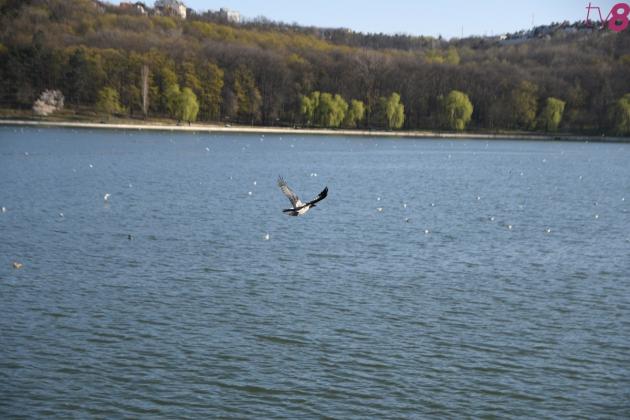 lacul-valea-morilor-14