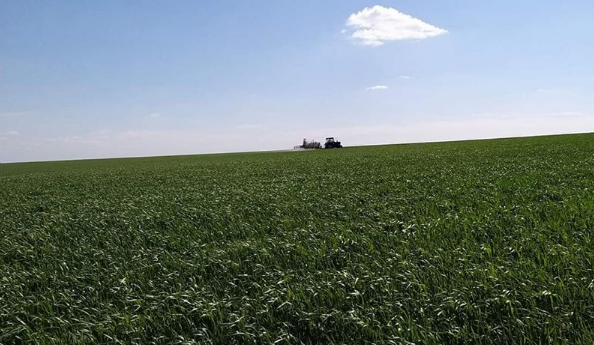 фото: facebook/Ministerul Agriculturii, Dezvoltării Regionale şi Mediului