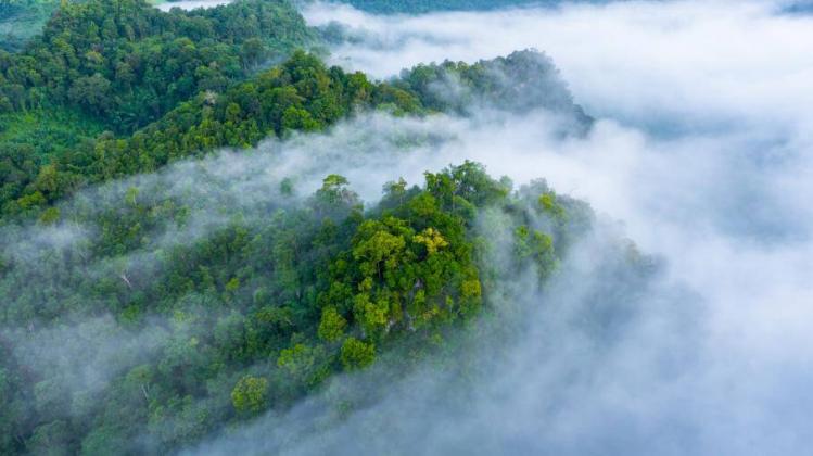 Фото: iStock