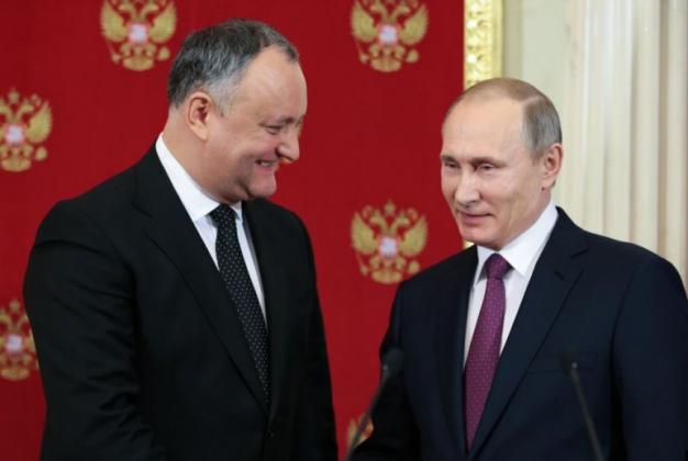 dodon_2_771x517