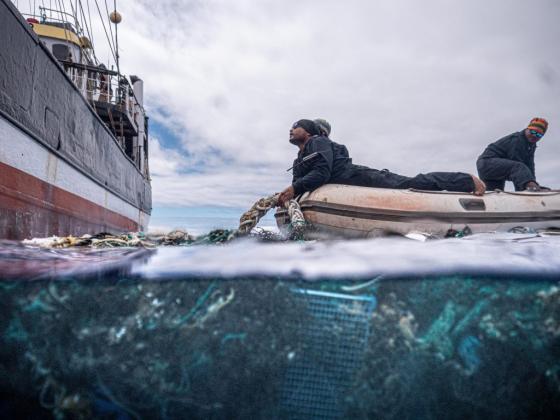 Фото: Ocean Voyages Institute