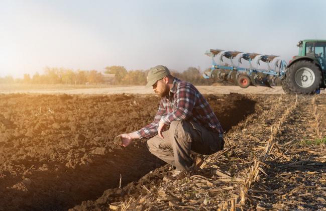 фото: agroexpert