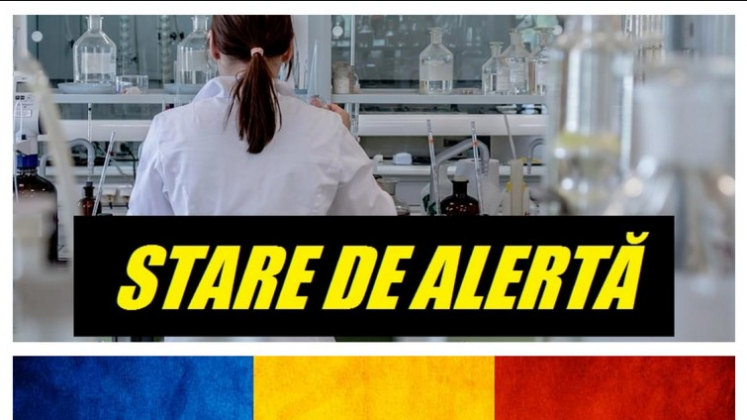 deschide