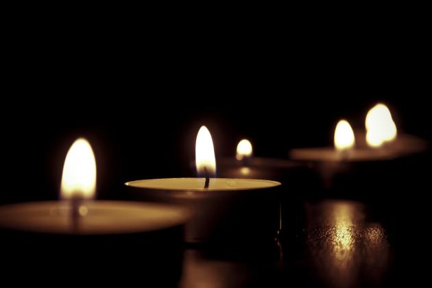 Фото: Pixabay