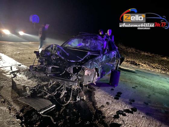 accident2-1