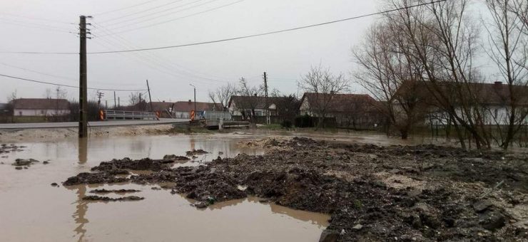Фото: Cotidianul