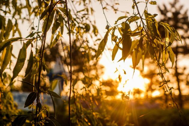 Фото: canva
