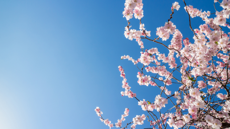 Фото: canva