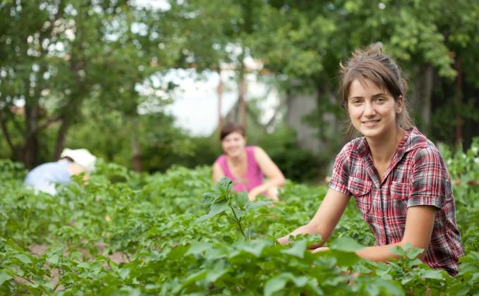 фото: agroexpert