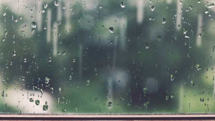 Фото: canva