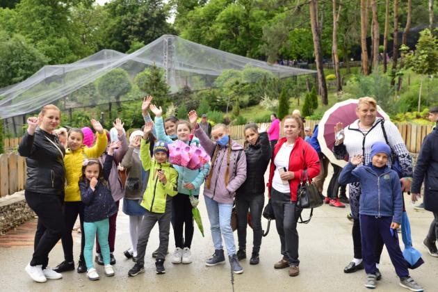 ion_ceban_zoo