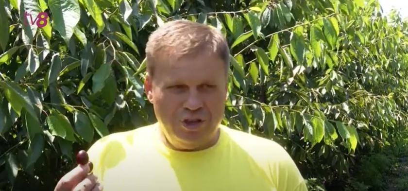 yvayayvavyayva