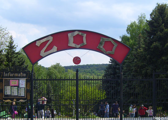 baby_service_md_zoo_1