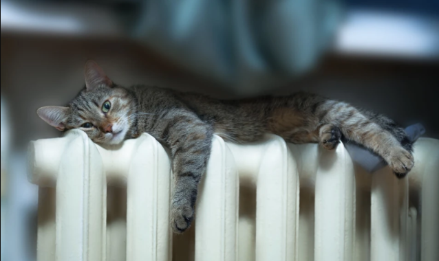 тепло