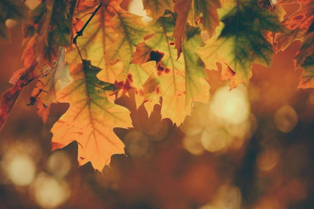 timothy-eberly-yuijo6bvhi4-unsplash-scaled