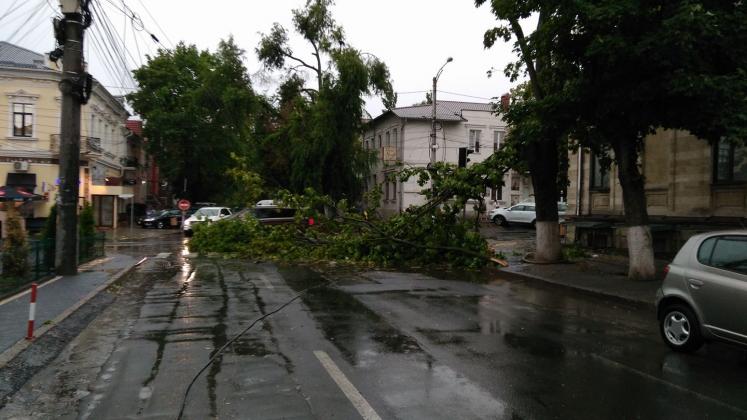 Foto: Facebook / Rodion Gavriloi