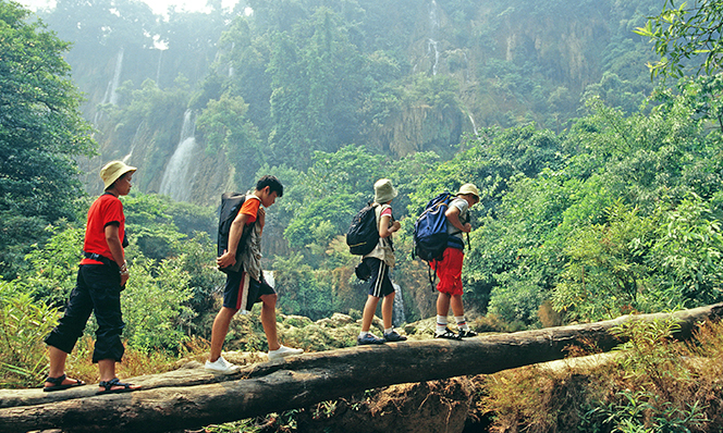 Foto: 7greens.tourismthailand