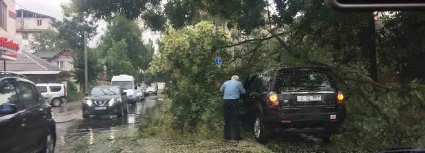 Foto: facebook.com/ Petru Terguță