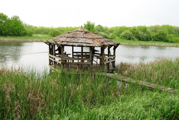 padurea-domneasca
