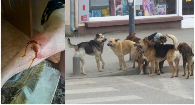 Foto: probraila, facebook.com; Colaj: tv8