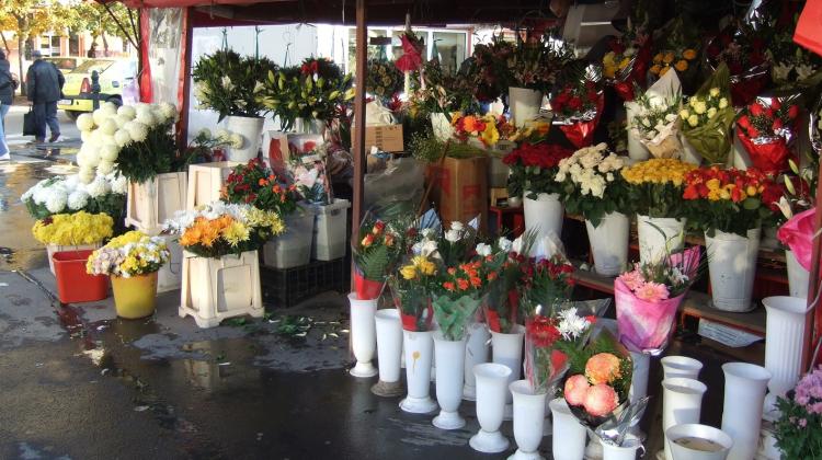 Foto: publika