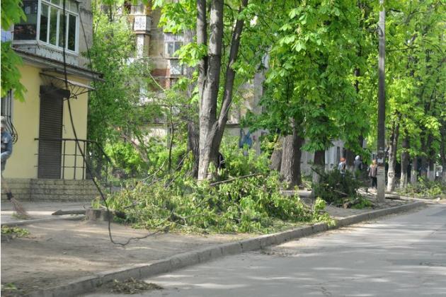Foto: MOLDPRES