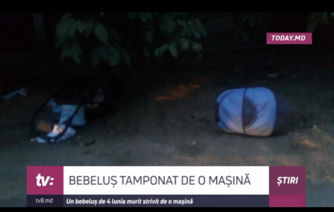 bebelus