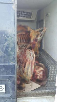 carne-2