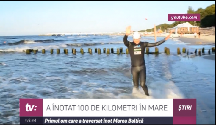 mare