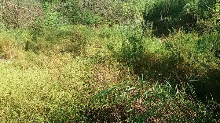 21744550_656224981243157_295538840_n