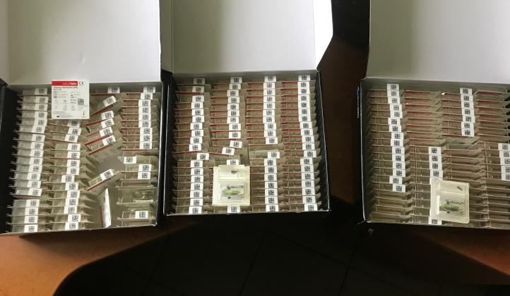 rsz_sv_4