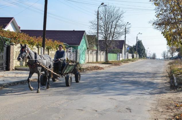 Foto: Sandu Tarlev / moldNova
