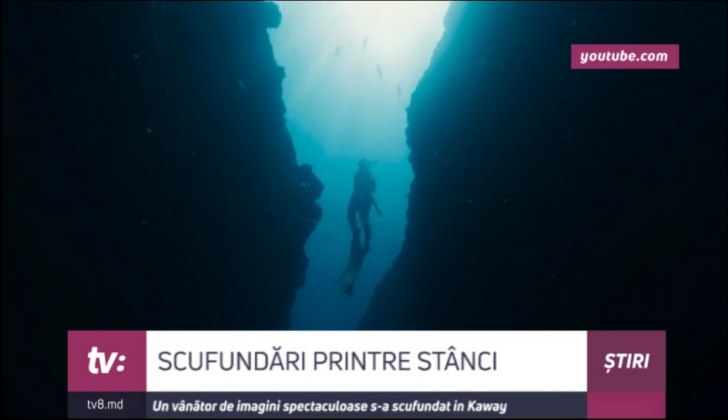scufudari