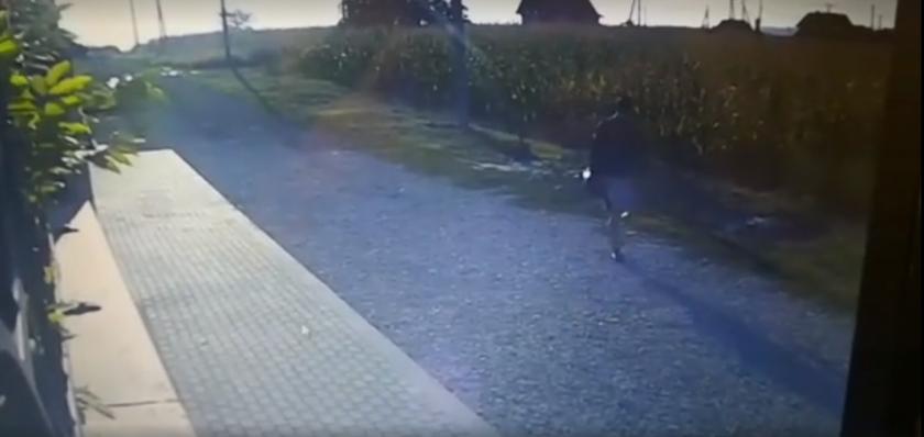 Foto: captură video