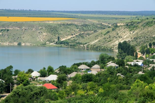 molovata