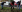 /VIDEO/ Gest admirabil! Polițiștii au sădit peste 400 de copaci într-un parc din Capitală