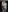 Enrique Iglesias și Anna Kournikova au devenit părinți de gemeni