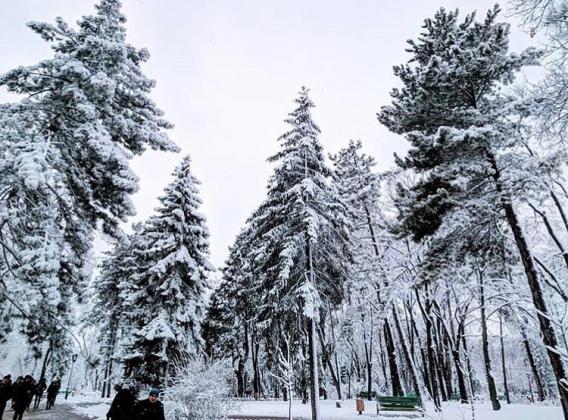 Foto: Instagram / @ilovechisinau