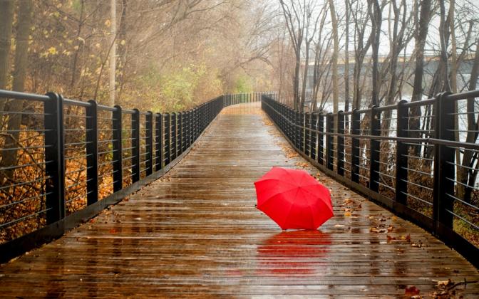 rainy-day