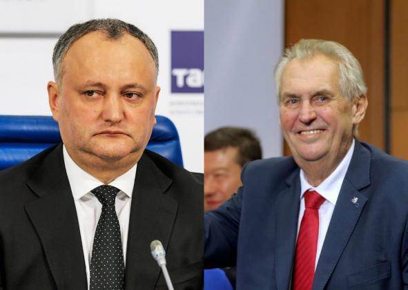 collagedodon_zeman