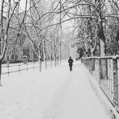 shantteli_18_1_2018_9_34_6_331