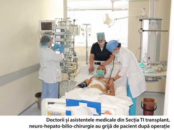 transplant_5