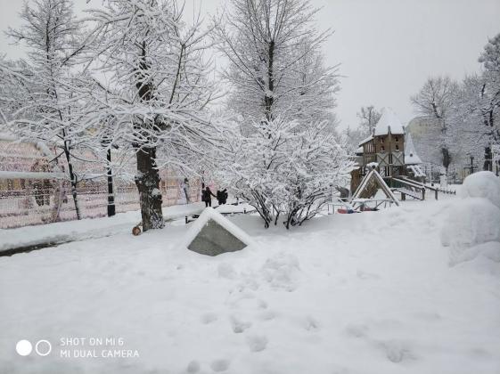 Foto: podrobnosti