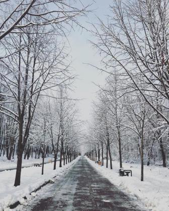 Foto: Instagram / @varenikaa